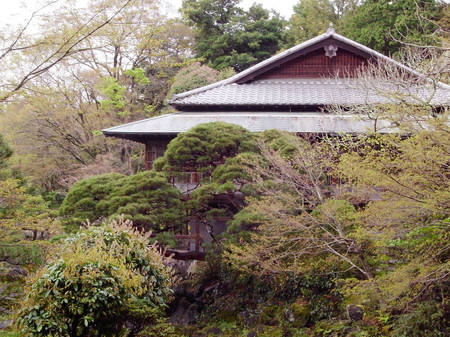 170409_mishima004.jpg