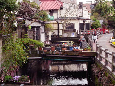 170409_mishima009.jpg