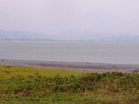 170623_yaizu029.jpg