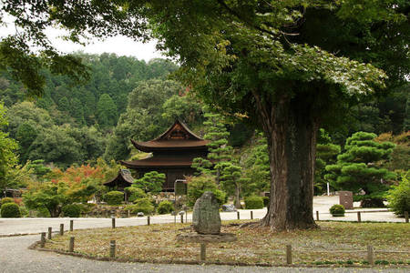 170922永保寺004.jpg