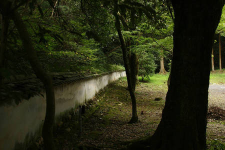 170922永保寺013.jpg