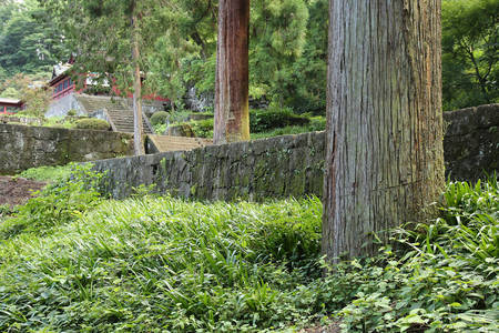 180715_karuizawa_tomioka_011.jpg