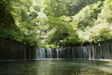 180715_karuizawa_tomioka_017.jpg