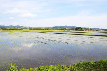190503_蜂巣小ヒカリノカフェ_023.jpg
