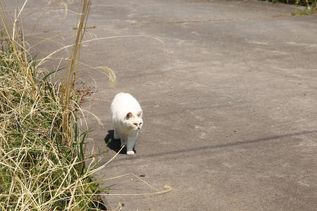 190504_前山寺_010.jpg