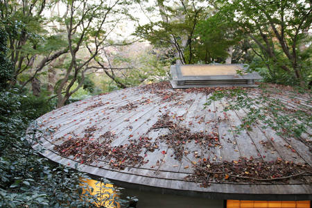 191130_オープンシナケン009.jpg