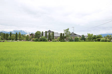 飯島町_iijima_002.jpg