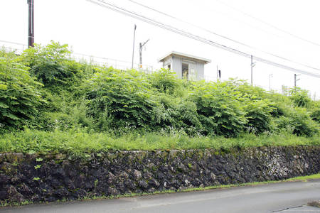 飯島町_iijima_003.jpg