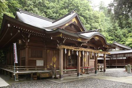 sIMG_3831.jpg