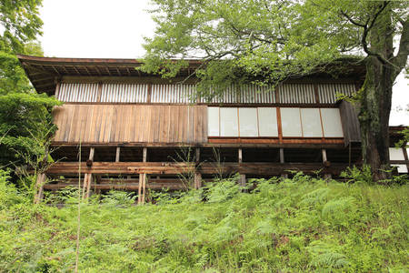 sIMG_3906.jpg